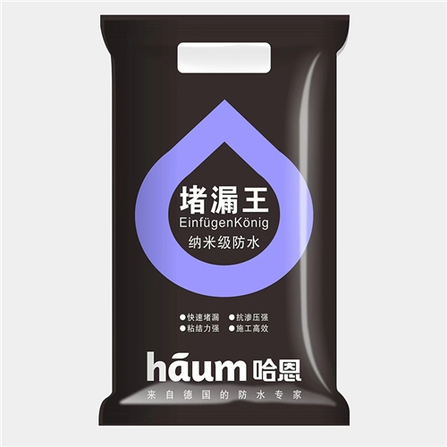 堵漏王